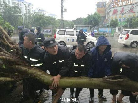 台风莎莉嘉