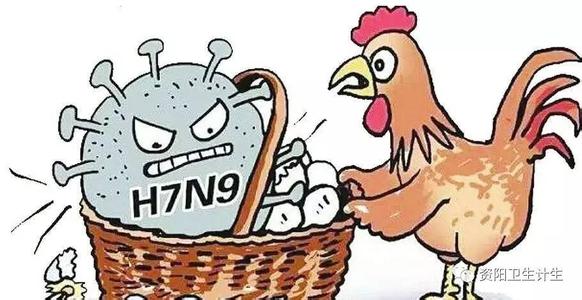 2017禽流感最新消息:H7N9亚型禽流感疫苗将投