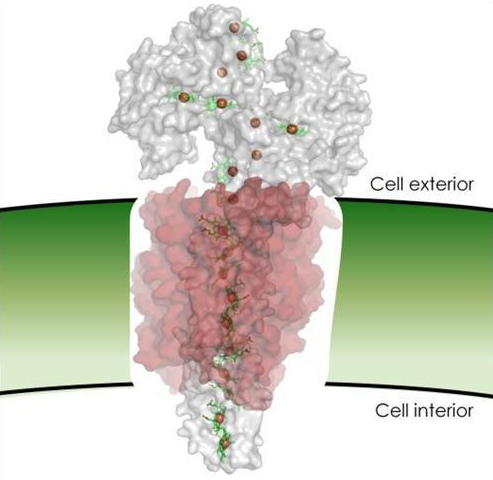 微生物燃料电池概念股有哪些|微生物染料电池