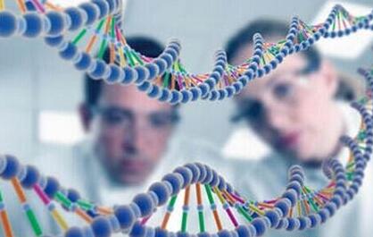 绿叶集团旗下Vela推出寨卡病毒基因检测试剂-