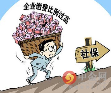 2f99c9ea6a52e.jpg